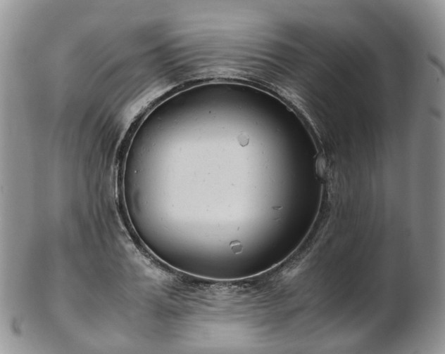 X0000102840987200808251152