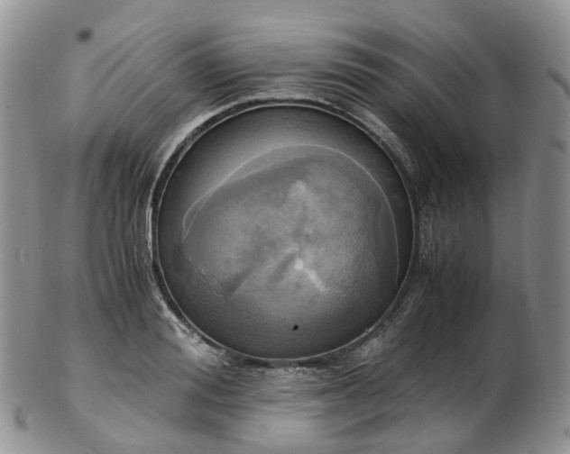 X0000102840988200808251152