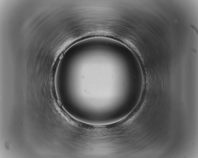 X0000102840989200808251152