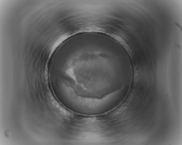 X0000102840990200808251152