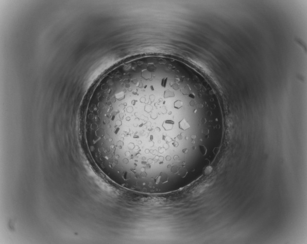 X0000102840991200808251152