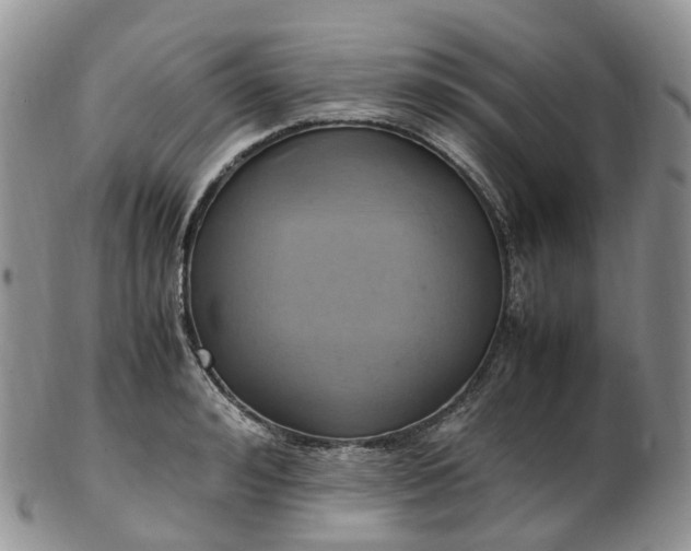 X0000102840992200808251152