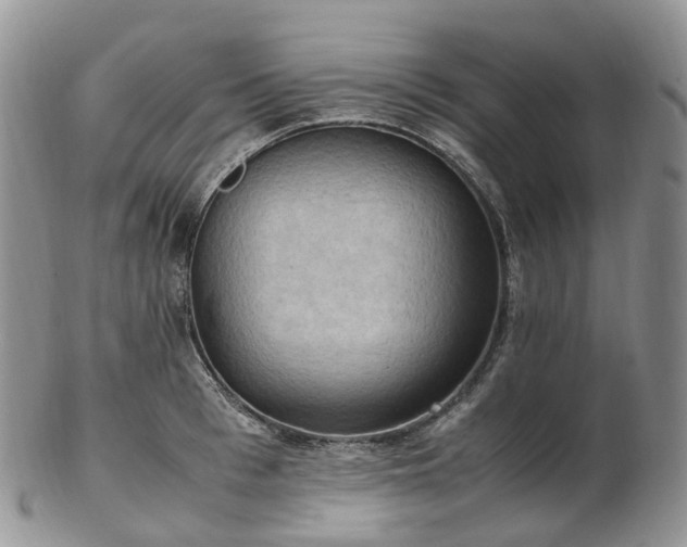 X0000102840993200808251152