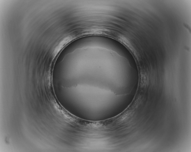 X0000102840994200808251152