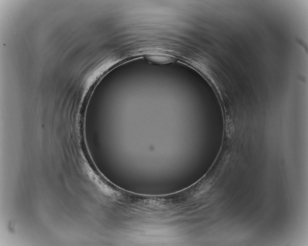 X0000102840995200808251152