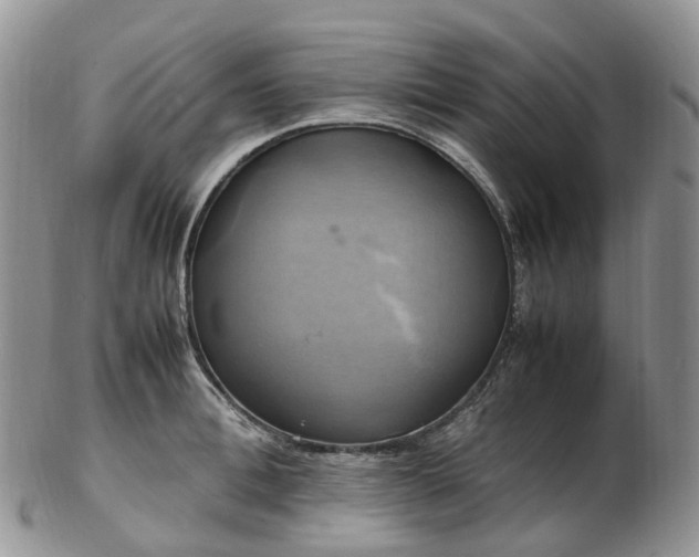 X0000102840996200808251152