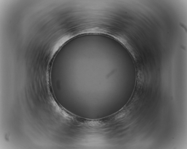 X0000102840998200808251151