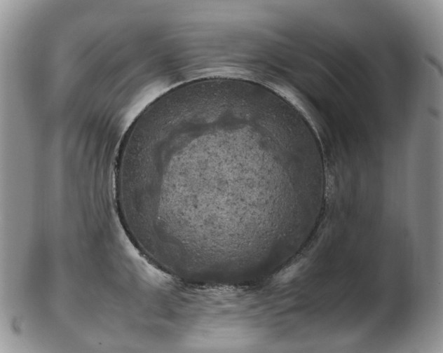 X0000102840999200808251151