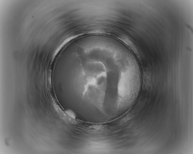 X0000102841000200808251151