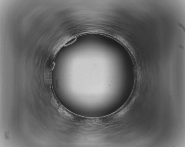 X0000102841001200808251151