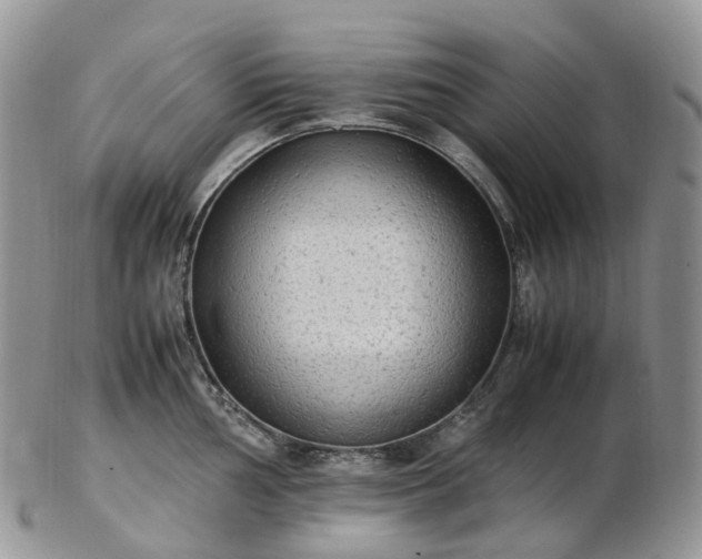 X0000102841002200808251151