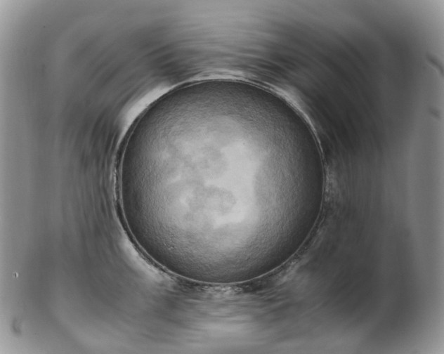 X0000102841003200808251151