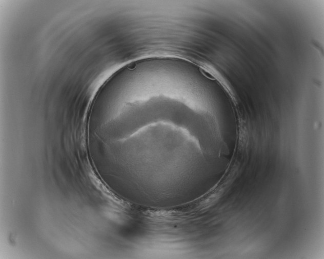 X0000102841004200808251151