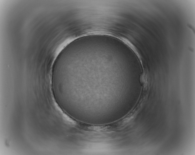 X0000102841005200808251151