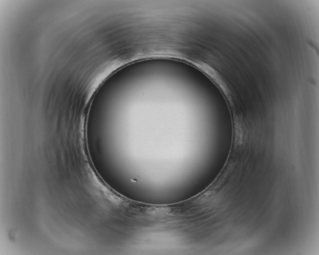 X0000102841006200808251151