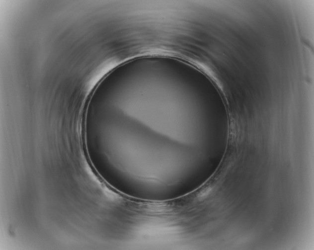 X0000102841007200808251151