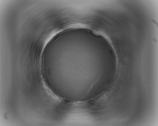 X0000102841008200808251151