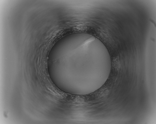 X0000102841009200808251151