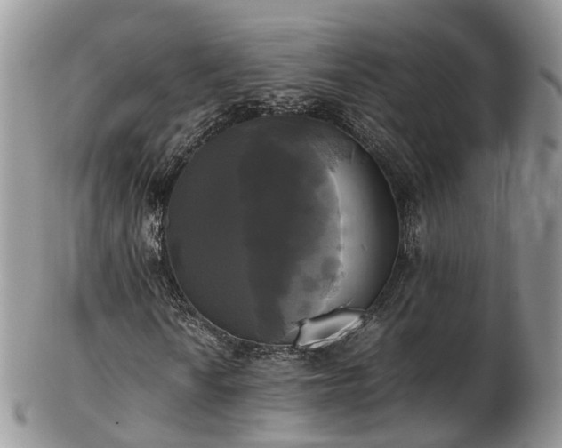 X0000102841010200808251151