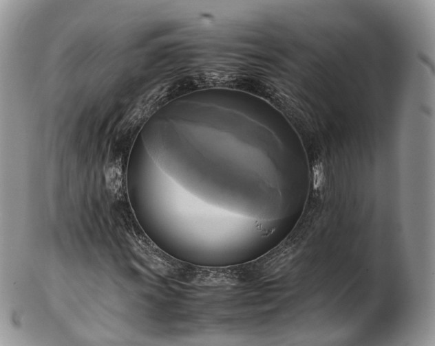 X0000102841011200808251151