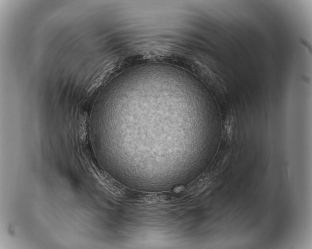 X0000102841012200808251151