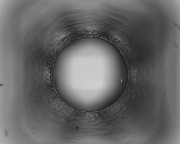 X0000102841013200808251151