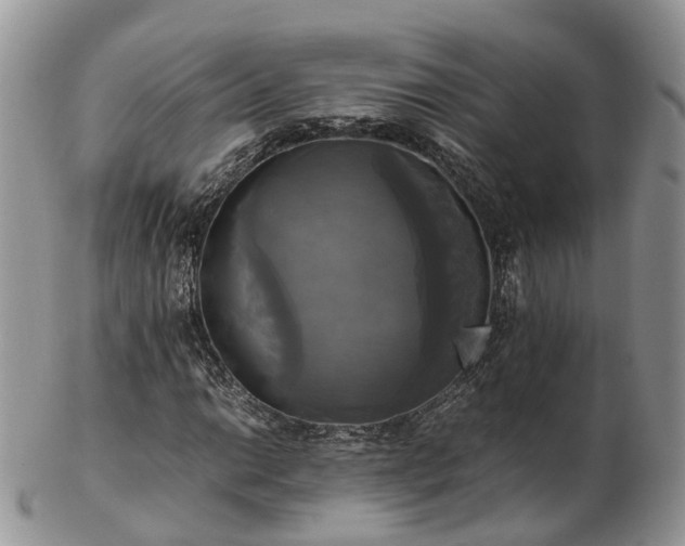 X0000102841014200808251151