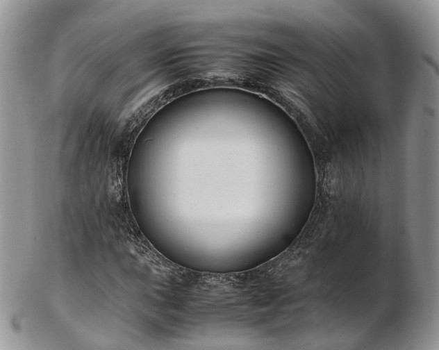 X0000102841015200808251151