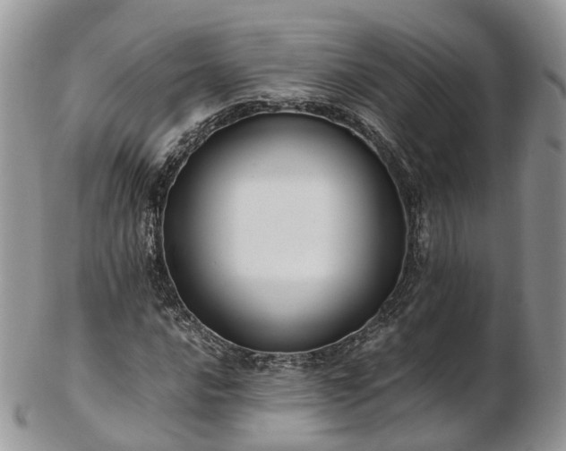 X0000102841016200808251151