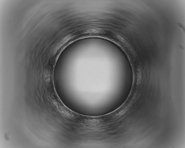 X0000102841017200808251151