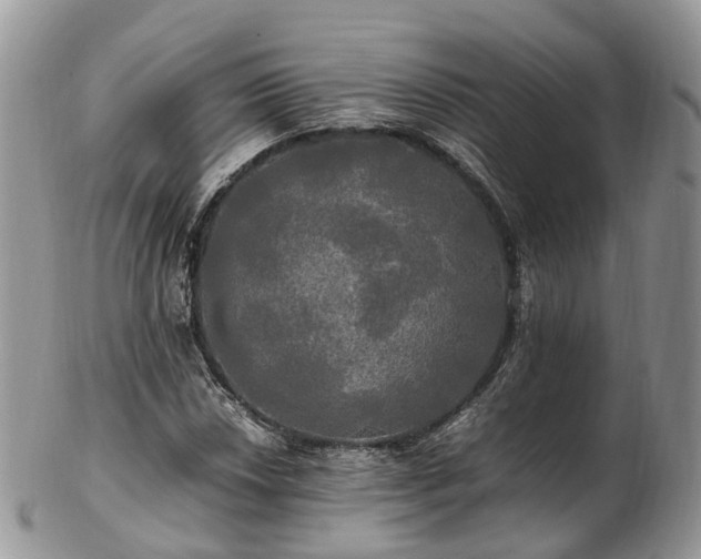 X0000102841018200808251151