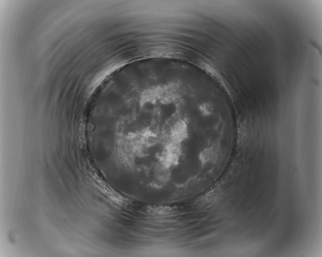 X0000102841019200808251151