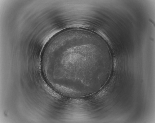 X0000102841020200808251151