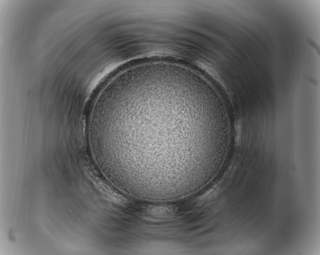 X0000102841021200808251151