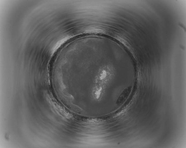 X0000102841022200808251151