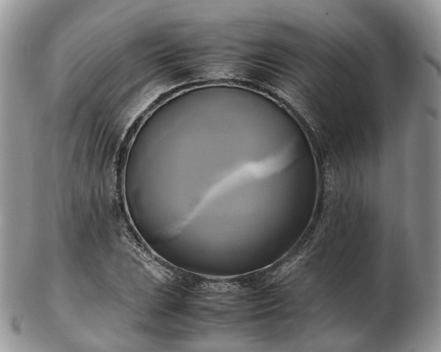 X0000102841023200808251151