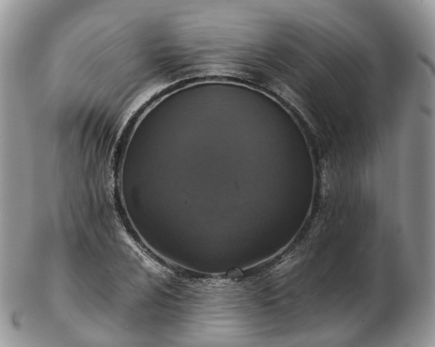 X0000102841024200808251151