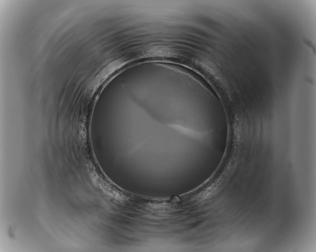 X0000102841025200808251151