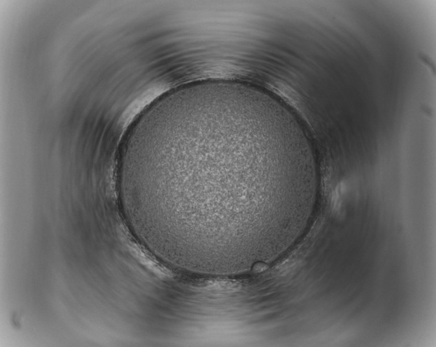 X0000102841026200808251151