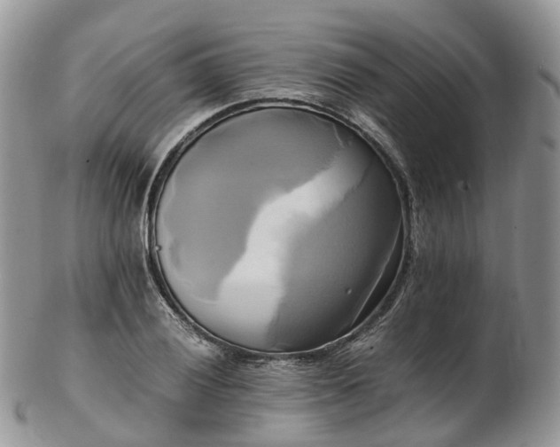 X0000102841028200808251151