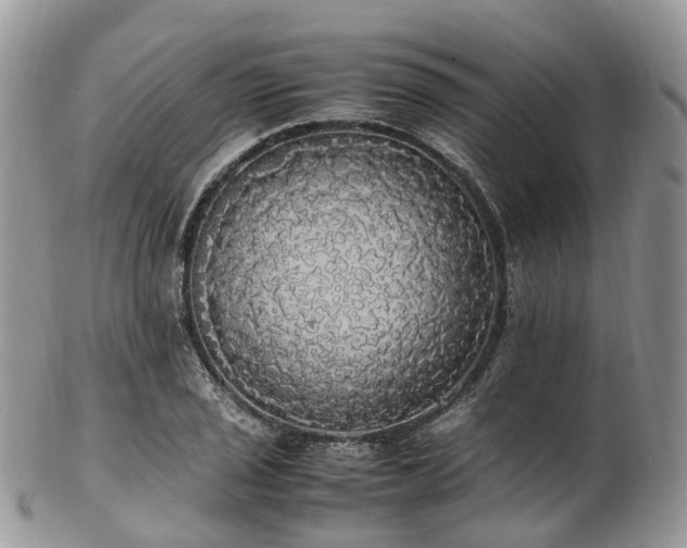 X0000102841029200808251151