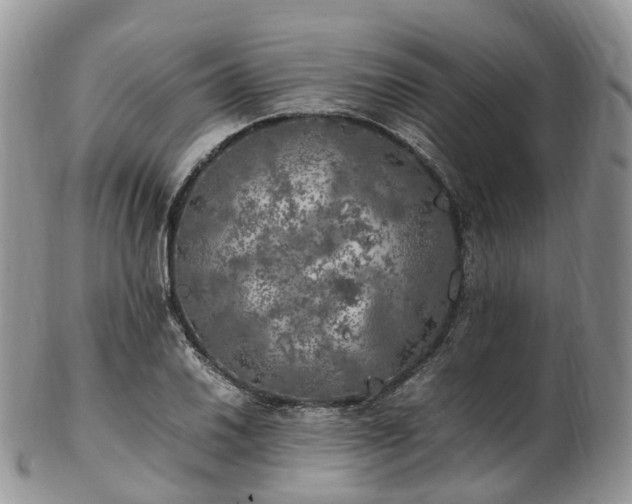 X0000102841030200808251151