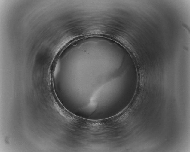 X0000102841031200808251151