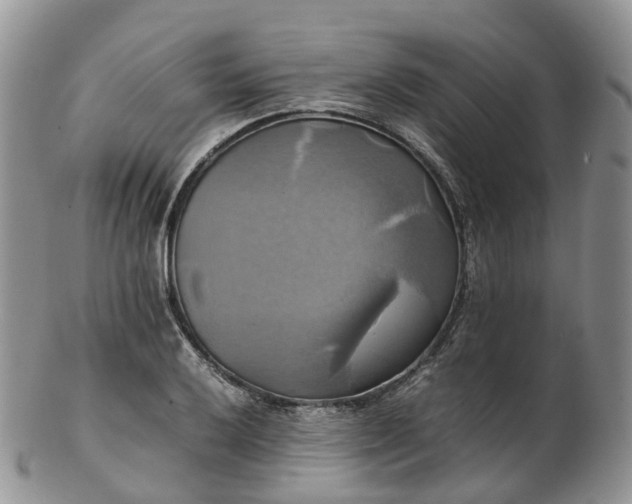 X0000102841032200808251151