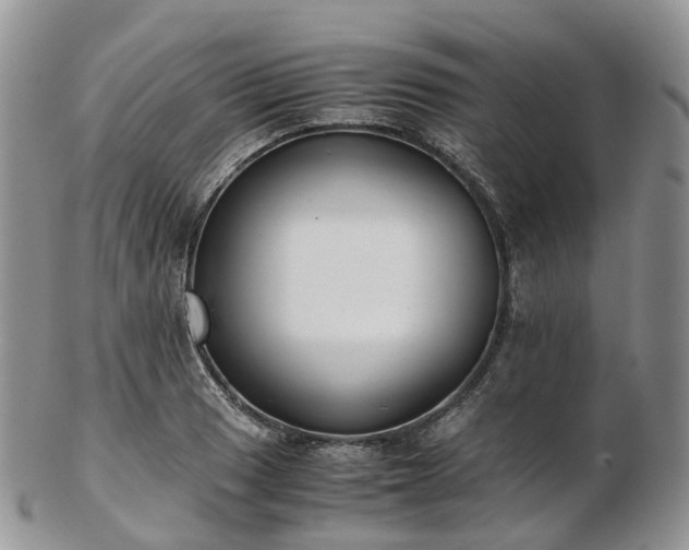 X0000102841033200808251151