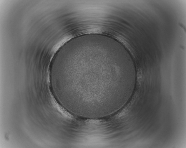 X0000102841034200808251151