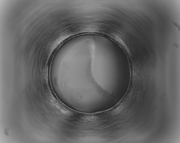 X0000102841035200808251151