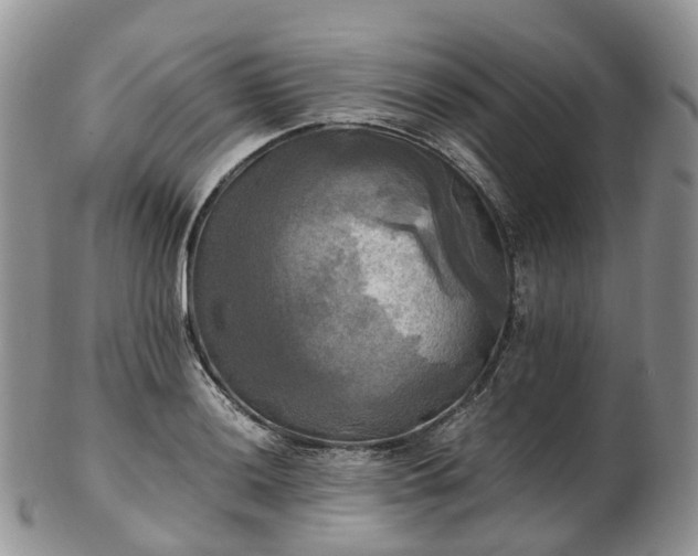 X0000102841036200808251151