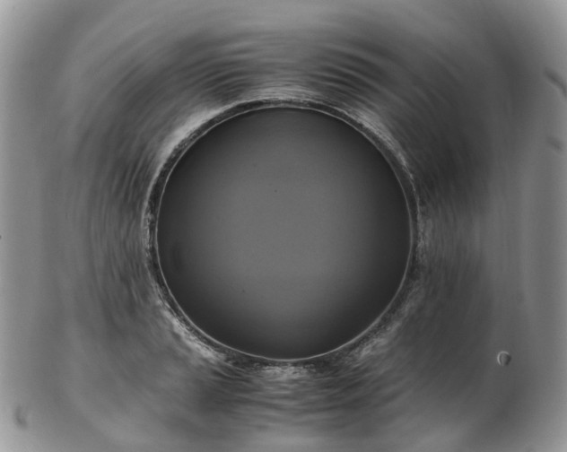 X0000102841037200808251151