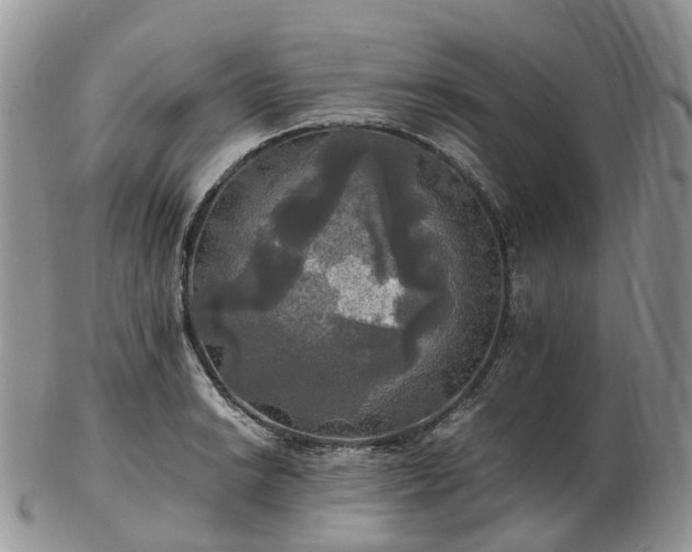 X0000102841038200808251151